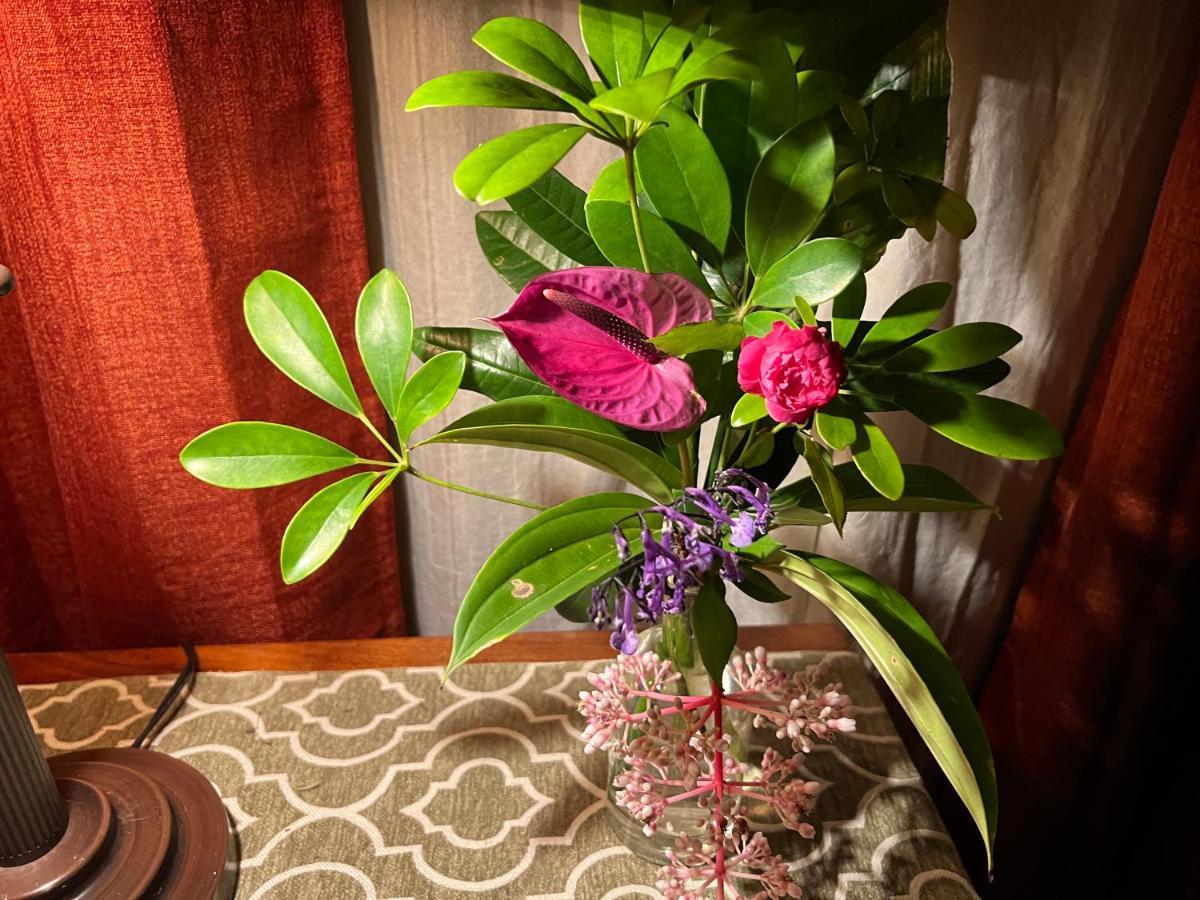 Hawi Guest House ภายนอก รูปภาพ