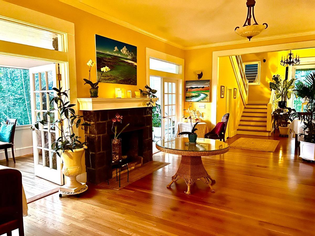 Hawi Guest House ภายนอก รูปภาพ